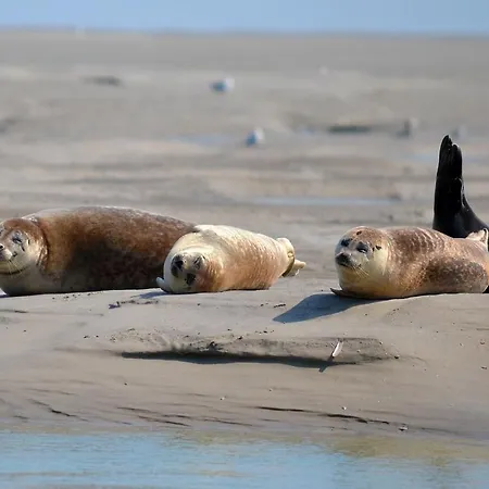 Sealov Hebergements Insolites- Linge, Menage Et Velos Inclus Eaucourt-sur-Somme