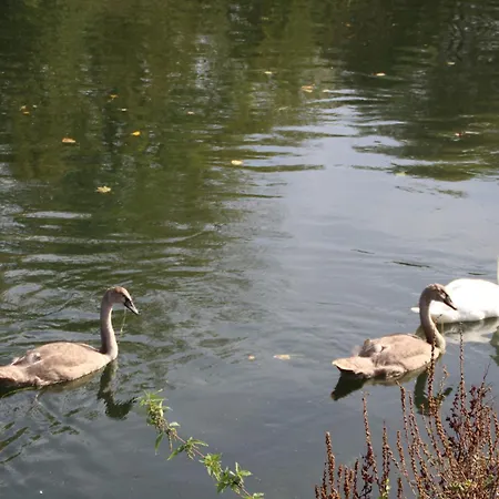 Sealov Hebergements Insolites- Linge, Menage Et Velos Inclus ספינת מלון
