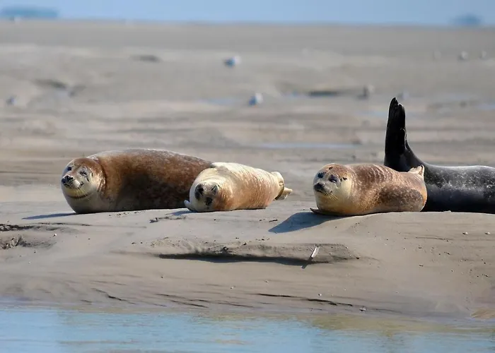 Sealov Hébergements Insolites- Linge, Ménage Et Vélos Inclus Eaucourt-sur-Somme