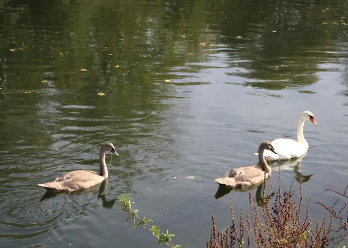 Sealov Hébergements Insolites- Linge, Ménage Et Vélos Inclus Bateau-hôtel