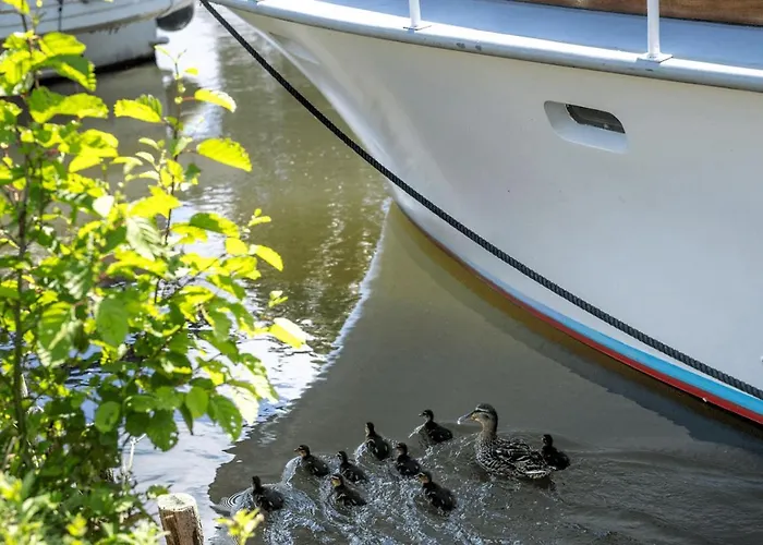 Bateau-hôtel Sealov Hébergements Insolites- Linge, Ménage Et Vélos Inclus Eaucourt-sur-Somme